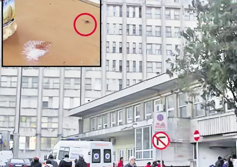 Gândaci în spital!