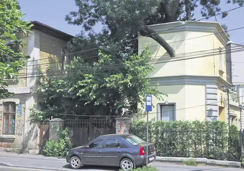 Au zidit copacul în casă