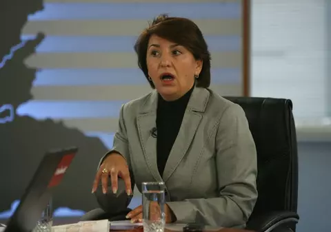 Sulfina Barbu: "Propun o conducere interimară la PDL, Boc e prea ocupat"