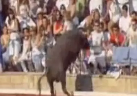 Video | Un taur a rănit 30 de oameni în timpul unui spectacol în arenă