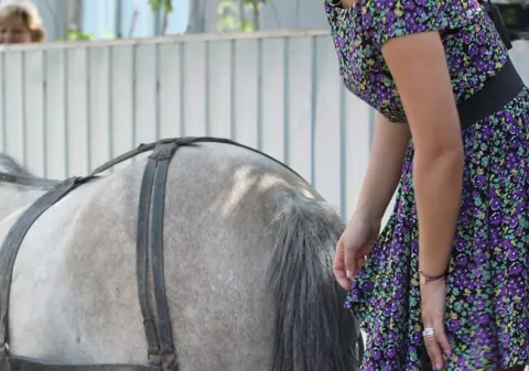Foto | Gina Pistol a renunţat la maşină pentru căruţă 