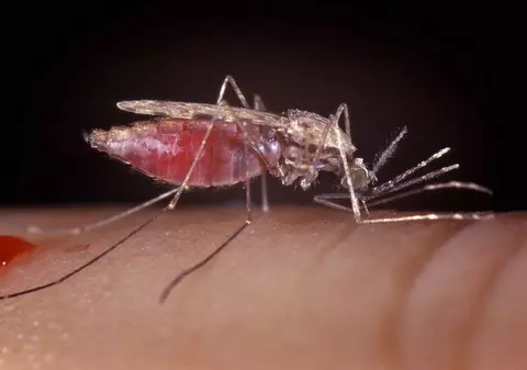 Încă un român a murit din cauza virusului West Nile
