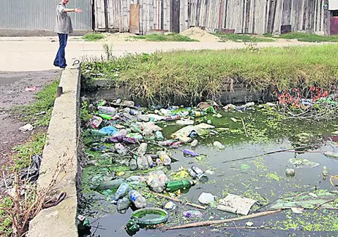 Un nou deces cauzat de virusul West Nile. În cinci luni au fost peste 50 de cazuri de infecții cu West Nile și 9 decese
