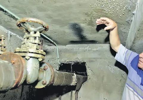 Ce trebuie să faceţi ca să nu vă infectaţi cu virusul West Nile: «Curăţaţi-vă urgent subsolurile!»