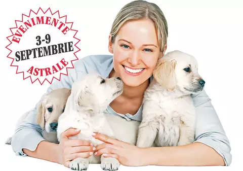 Berbecii caută liniştea, dar în sufletul lor e dezordine