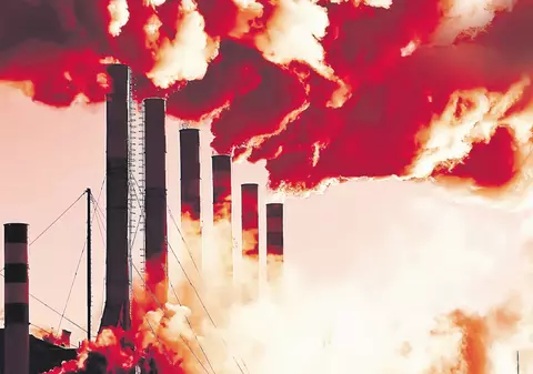 Fenomen straniu: Se sinucid copacii!