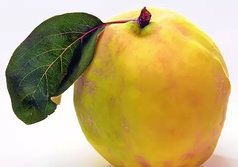 Îndulceste-te cu gutui