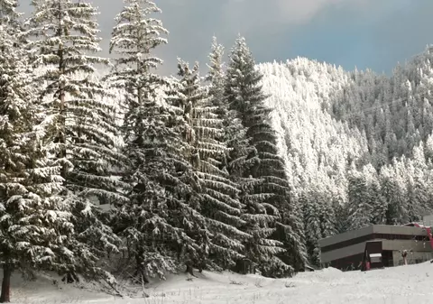 La munte ninge! Stratul de zăpadă măsoară 10 cm în Parâng