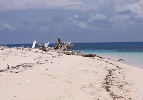 Accident aviatic soldat 12 morți. Un avion ușor s-a prăbușit în Papua Noua Guinee