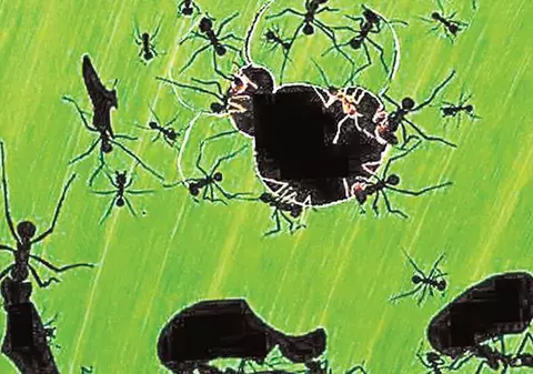 Vezi cele mai frumoase fotografii din natură!