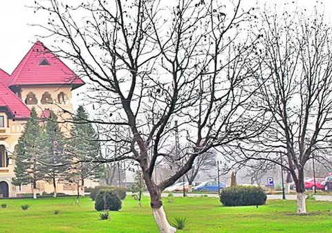 Aici e cazat Nicolas Cage