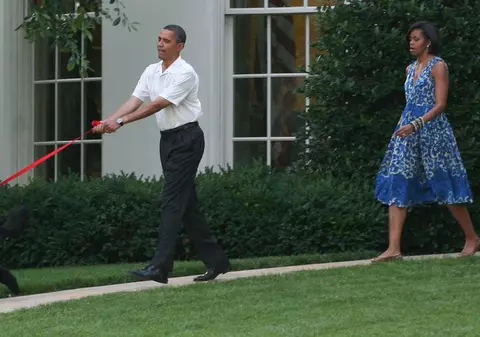 Bo, câinele familiei Obama, în carantină în Hawaii