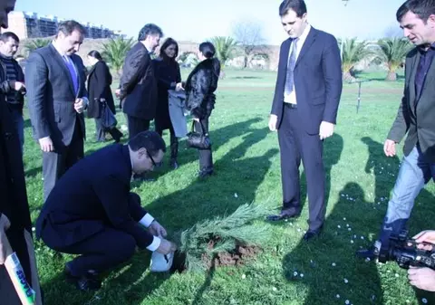 Ponta a plantat pini la Roma