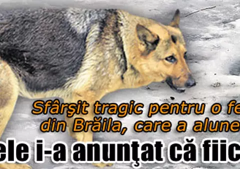 Câinele i-a anunţat că fiica lor a murit