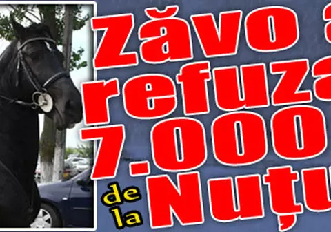 Oana Zăvoranu a refuzat 7.000 € de la Nuţu