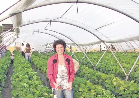 Se caută căpşunari! Leafă: 2.400 €/ lună