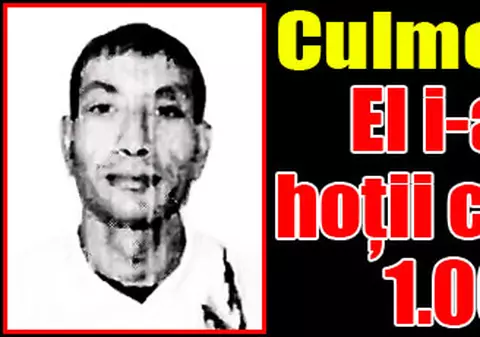 Hoţii milionului de euro, jefuiţi!