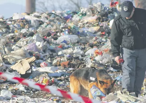 Un fost poliţist şi un fost militar, suspecţi în cazul cadavrului tranşat găsit la Lugoj