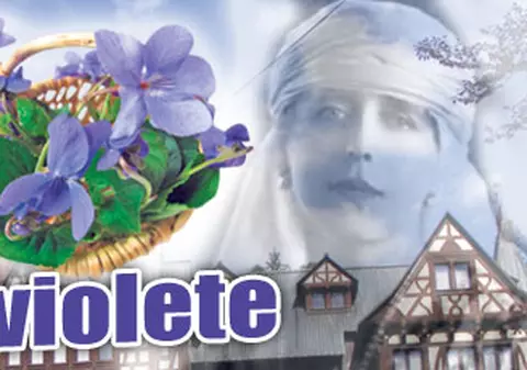 Stafia Reginei Maria mirosea a violete