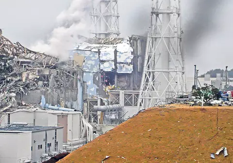 Mâncați alge și emanațiile radioactive de la Fukushima nu vă fac rău