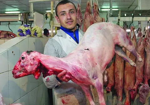 Carnea de miel pentru Paşte va costa 25 de lei pe kilogram