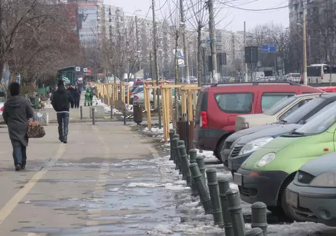 Liviu Negoiţă plantează copaci de aproximativ 1.000.0000 de euro 