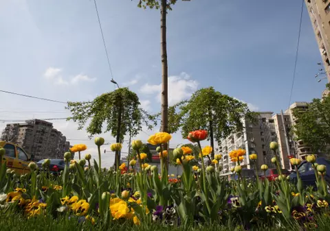 Primăvara revine de la jumătatea săptămânii