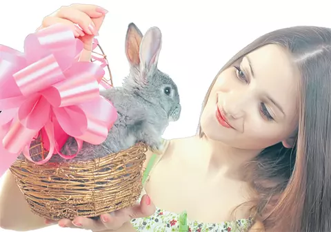 Vreți să adoptați un iepuraş?