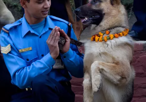 Fundamentaliştii iranieni au declarat război câinilor!