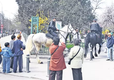 Poliţia iese călare pe străzi