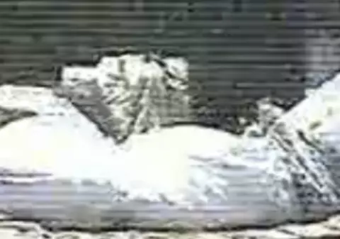 Au dezgropat cadavrul unei tinere și i-au mâncat picioarele