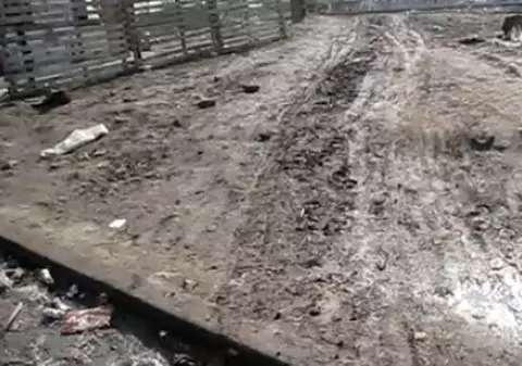 Valentin este nemulțumit de strada plină de gropi din cartierul său
