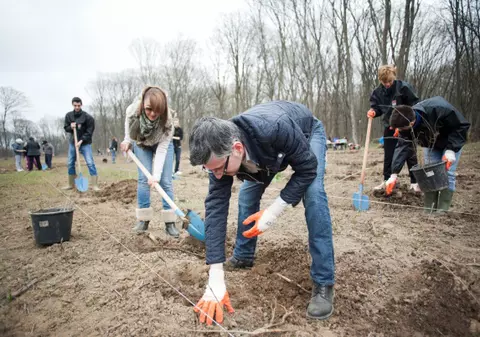 Giulia şi DJ-ii de la Radio 21 au plantat  o nouă pădure la Snagov