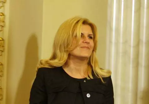 Udrea vrea desființarea primăriilor de sector