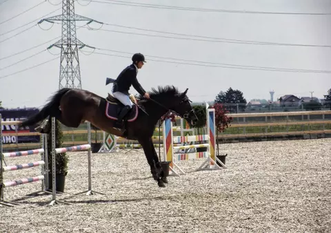 Peste 115 călăreţi s-au întrecut în probele de sărituri peste obstacole. Maria Băsescu i-a premiat