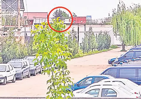 Luptătorul antitero a rămas fără un ochi şi fără braţe după explozia de la baza SRI