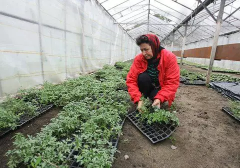 Pământul dă roade, dar prețurile alimentelor vor urca la cer!