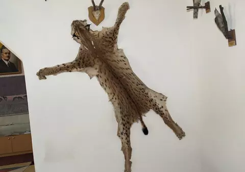 Acesta e râsul împuşcat de Ceauşescu!