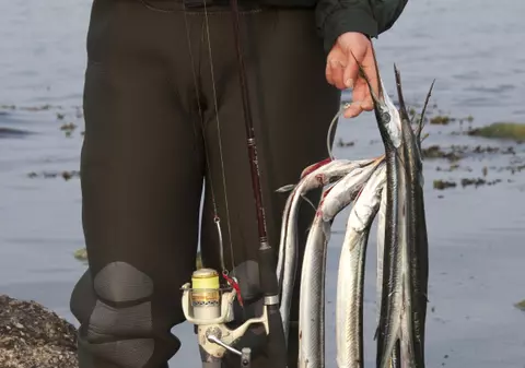 Trei pescari şi-au riscat libertatea pentru patru kilograme de peşte