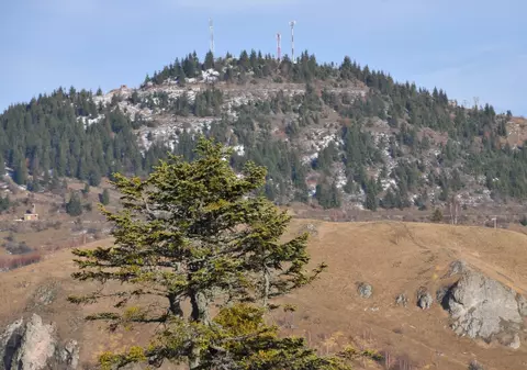 Tribunalul Cluj s-a pronunțat în favoarea Roșia Montană 