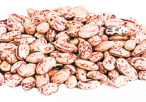 Știai? Fasolea roșie calmează sindromul premenstrual