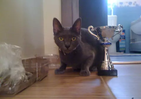 Adi Cristescu proprietarul celei mai frumoase pisici din show biz la Global Pet Awards (Pet Expo)