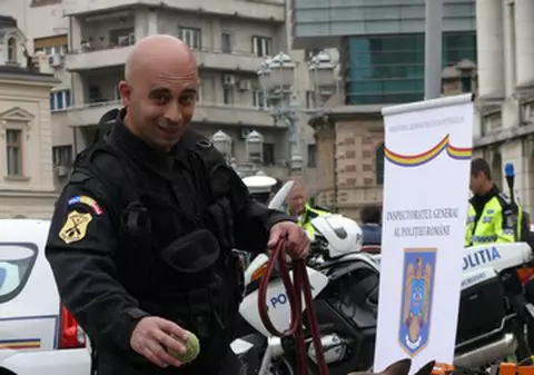 Foto | El e Sparky, câinele-poliţist care găseşte bombe