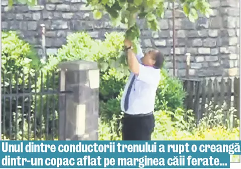 Au reparat locomotiva cu o creangă