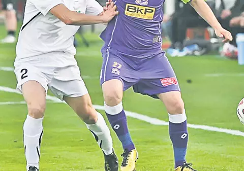 Doi parlamentari cer anchetarea FRF şi LPF