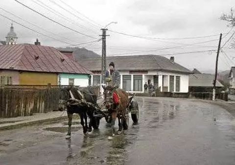 VIDEO| Cruzime fără margini la Galați. Trei cai, obligaţi să tragă în direcţii diferite două căruţe legate între ele