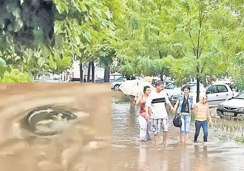 Bucureștiul a intrat la apă. În băltoace înotau pești