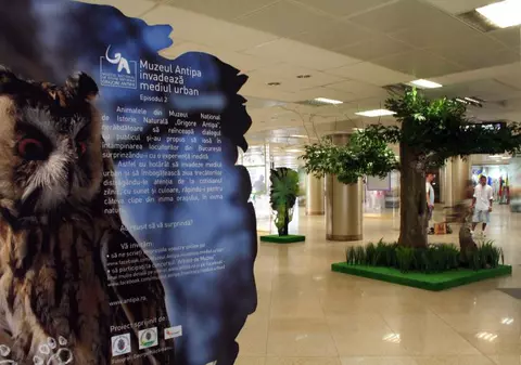 Jungla se mută în Pasajul Universităţii