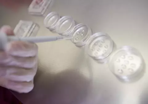 S-a dat drumul programului de fertilizare in vitro, la Iaşi