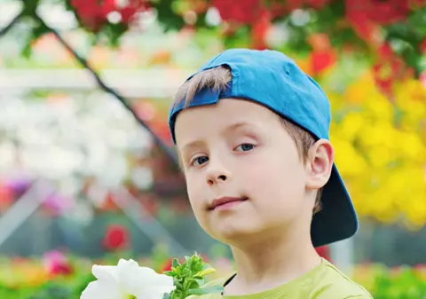 Plantele din casă vă pot otrăvi copiii. Aveţi grijă ce alegeţi